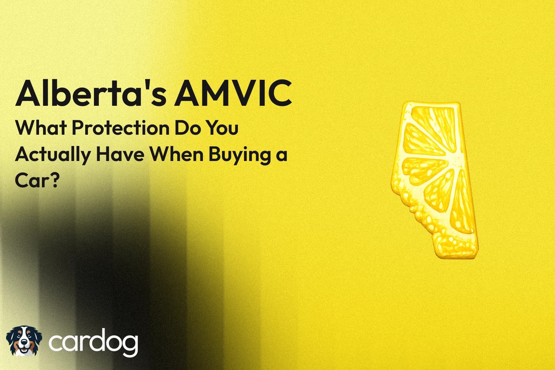 Alberta's AMVIC: What Protection Do You Actually Have When Buying a Car? - Featured Image