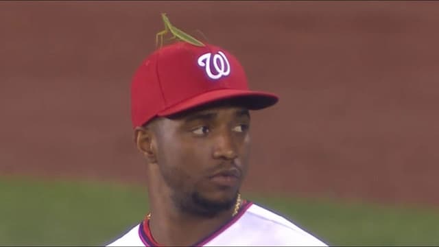 Praying Mantis & MLB player become best friends 🤣🤣 | Victor Robles & mantis chill in field - Featured Image