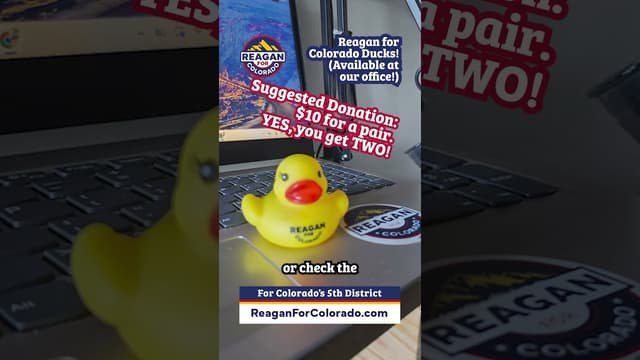The Joe Reagan campaign has ducks! - Featured Image
