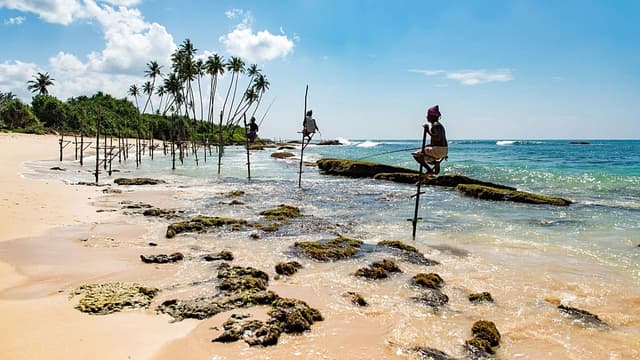 Dreamy beaches and incredible wildlife: Sri Lanka just launched a digital nomad visa | Euronews - Featured Image