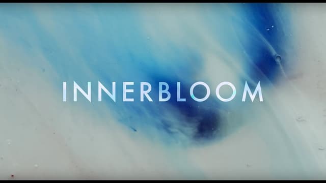 RÜFÜS DU SOL ●● Innerbloom (Official Video) - Featured Image