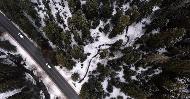 Obsession with growth is destroying nature, 150 countries warn – POLITICO - Featured Image