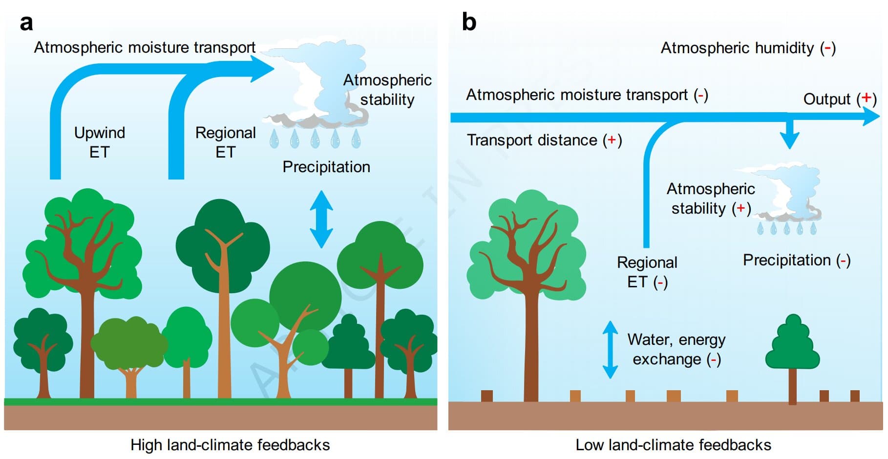 Deforestation is drying out the Amazon rainforest faster than previously thought - Featured Image