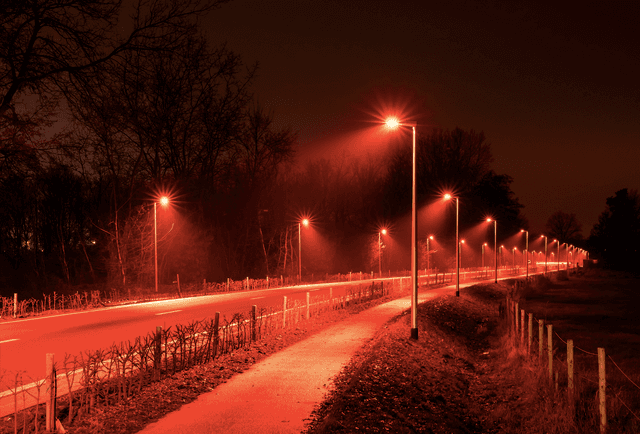 Denmark trials red streetlights to protect wildlife « Euro Weekly News - Featured Image