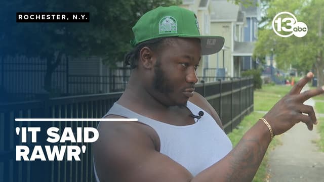 Man describes face-to-face encounter with mysterious large cat in Rochester - Featured Image