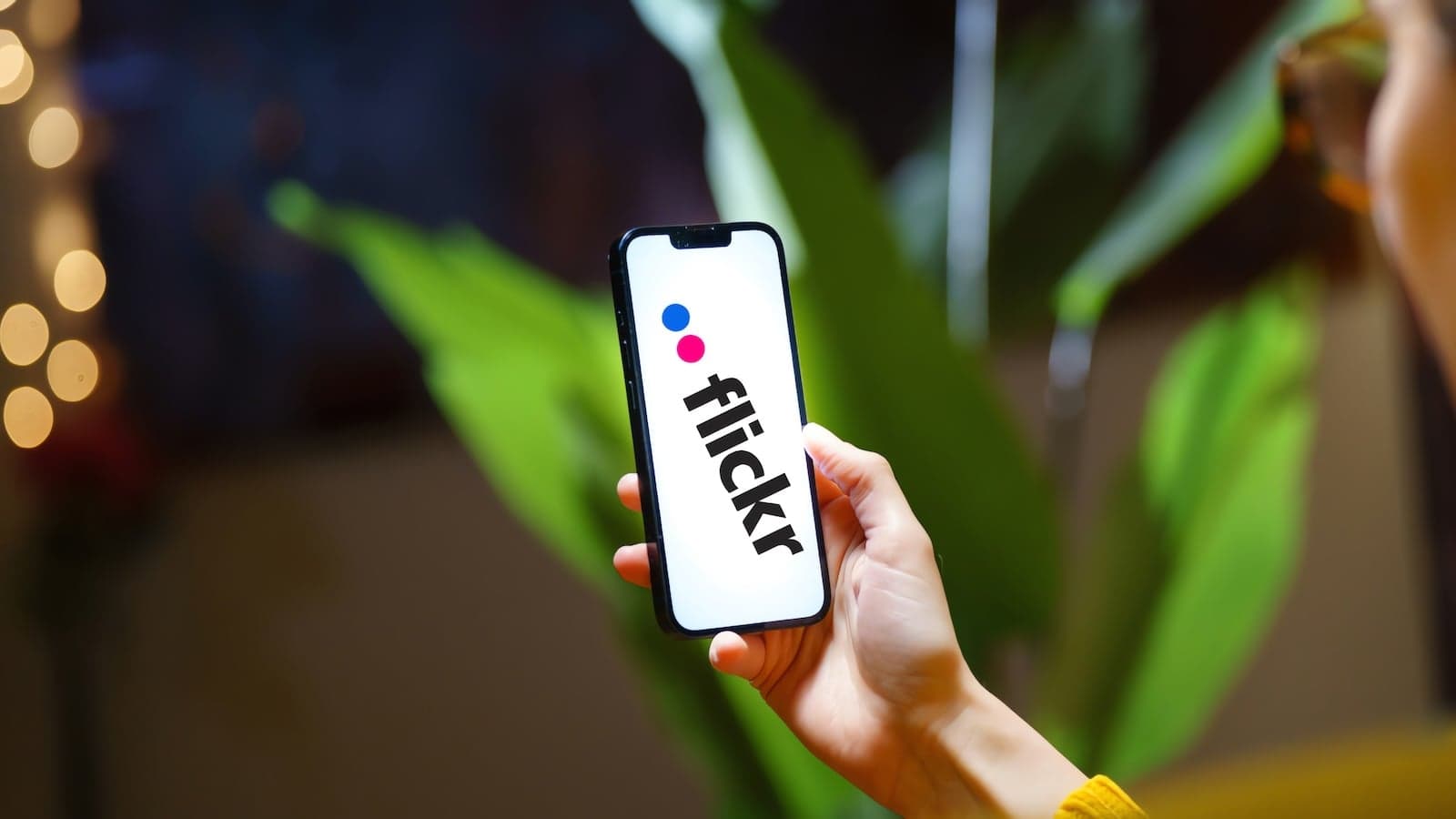 Flickr discloses potential data breach exposing users' names, emails - Featured Image