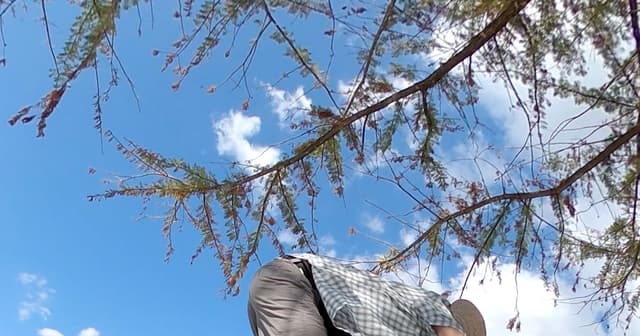 When Are You Going To Get A Real Bike?: Klunker Endo - Featured Image