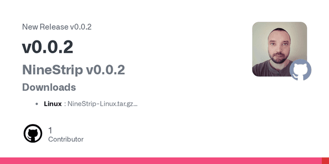 Release v0.0.2 · blablack/nine-strip · GitHub - Featured Image