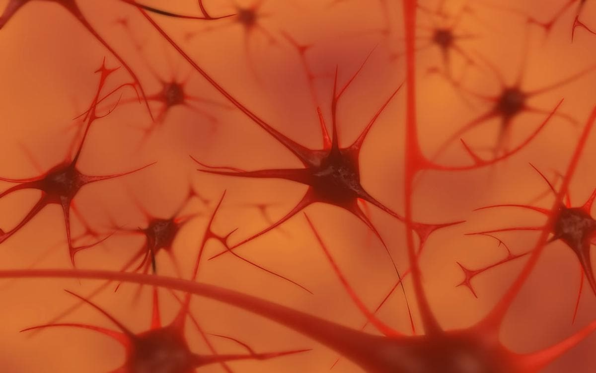 Your brain does not process information and it is not a computer | Aeon Essays - Featured Image