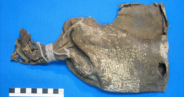 Ancient Traces Of Ayahuasca Discoverd In Shamanic Pouch In Bolivia - Featured Image