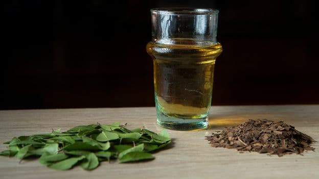 Yaupon: The rebirth of America's forgotten tea - Featured Image