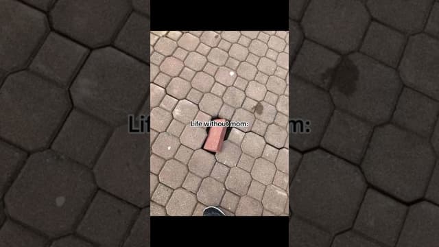 #georginarodriguez - Featured Image