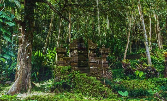 Archaeologists Just Unearthed a 5,000-Year-Old Fortress Hiding Deep in the Forest of Romania - Featured Image