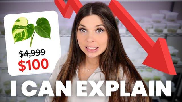 I accidentally crashed the rare plant market - Featured Image