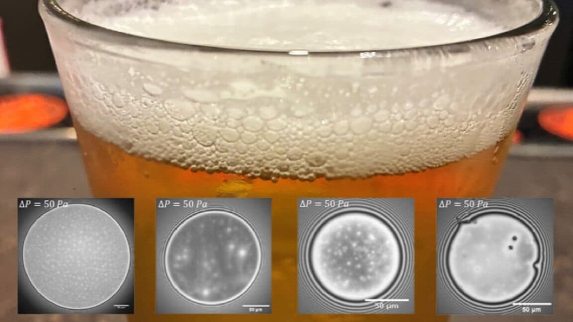 Scientists unlock secret to thick, stable beer foams - Featured Image