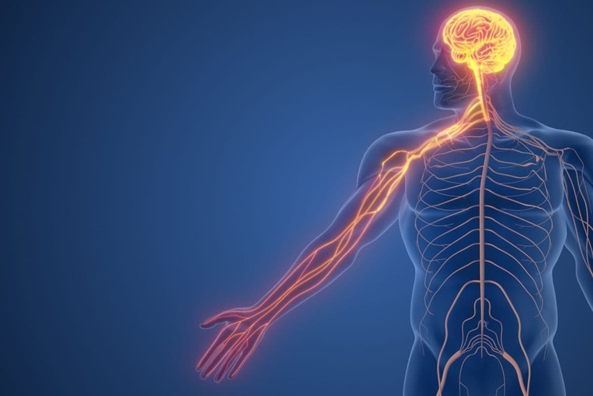 Why Can't You Tickle Yourself? Your Brain Actually Prevents It From Happening | Discover Magazine - Featured Image