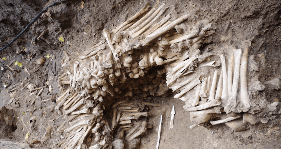 Wall Made Of Human Bones Found Underneath Cathedral In Belgium - Featured Image