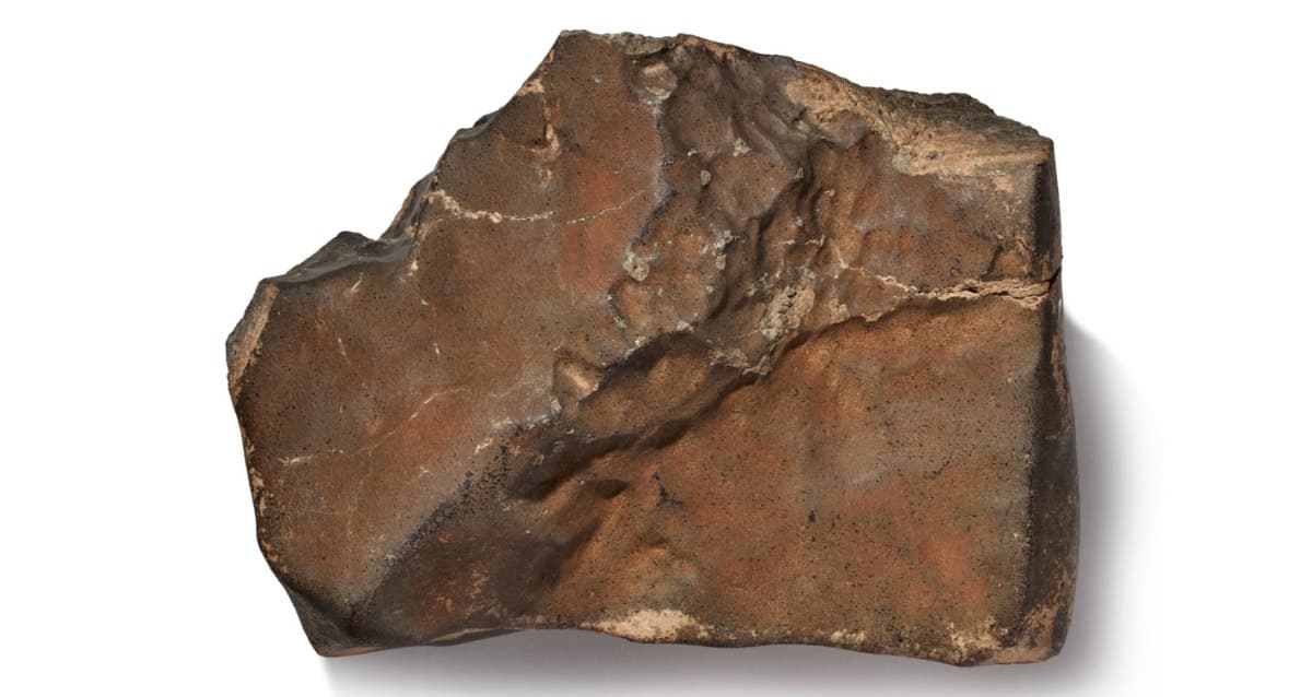 Biggest Martian Meteorite Ever Found On Earth Is Set To Go On Auction - Featured Image