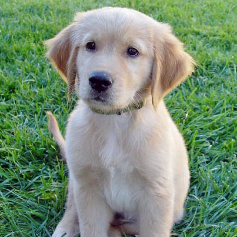 @nycsouthpaw.bsky.social on Bluesky - Featured Image