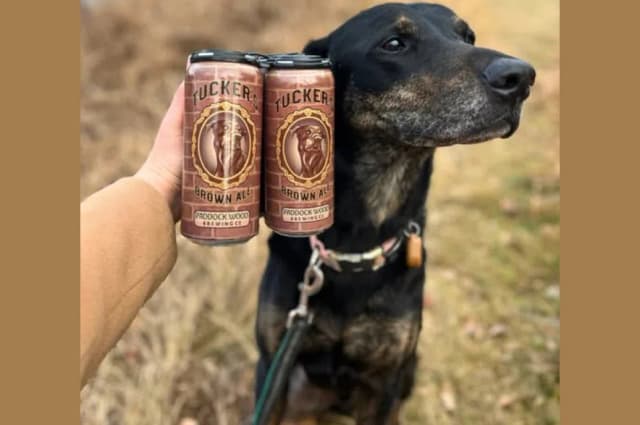 Saskatoon brewery moves to Regina to shack up with District Brewing | 650 CKOM - Featured Image