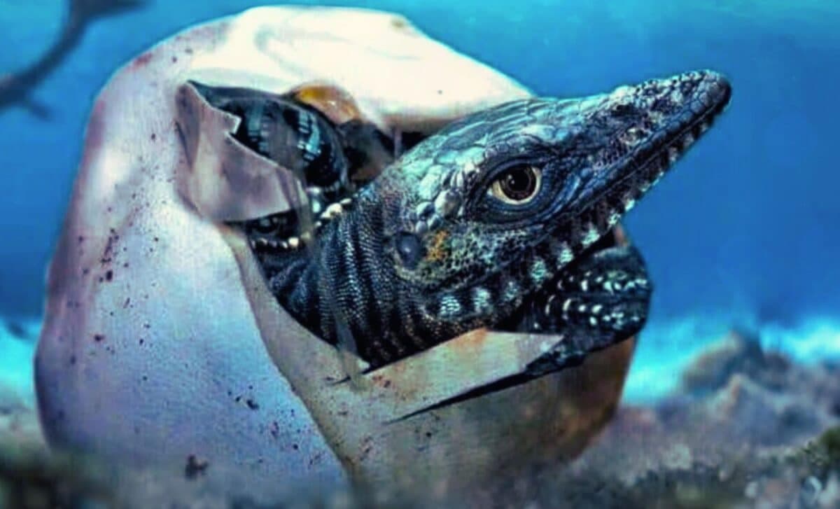 Frozen for 68 Million Years, a Giant Egg Called ‘The Thing’ Found in Antarctica Is Turning Prehistoric Science Upside Down - Featured Image