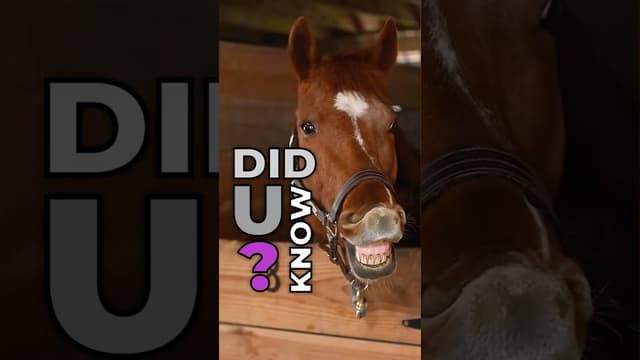 DidUKnow? How Much Horsepower a Horse Actually Has? #diduknow #history #steamengine - Featured Image