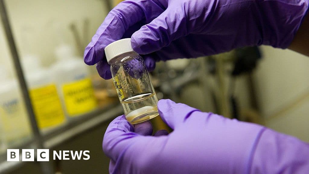 Single vaccine could protect against all coughs, colds and flus, researchers say - Featured Image