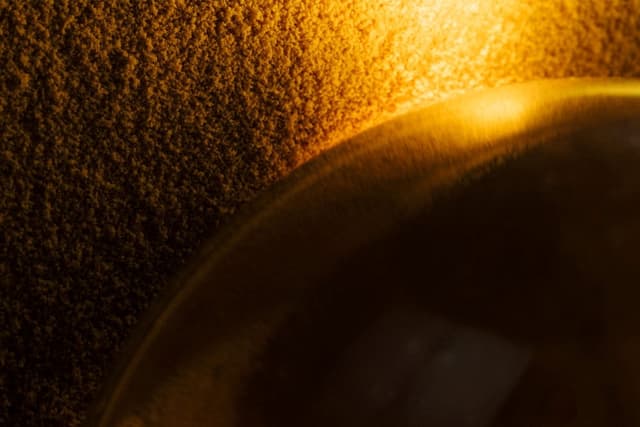 Solar Foods to develop Solein® production technology for testing onboard the International Space Station - Featured Image