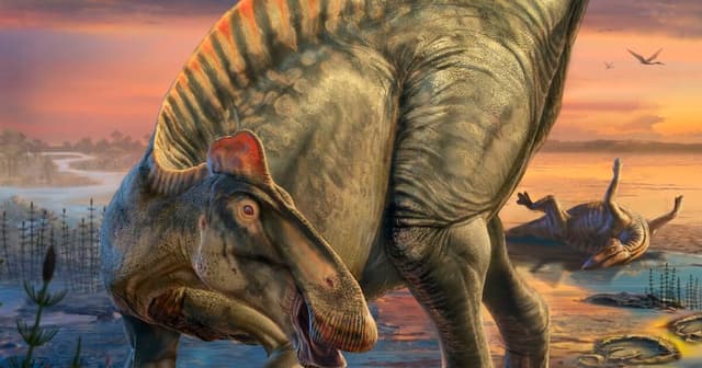 Dinosaur ‘mummies’ unlock secrets of life appearance - Featured Image