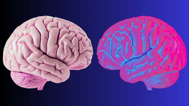 Scientists Identify Brain Waves That Define The Limits of 'You' : ScienceAlert - Featured Image