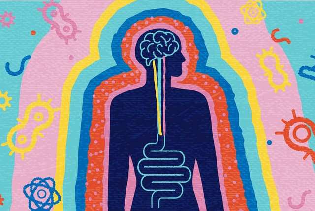 Microbes may hold the key to brain evolution - Featured Image