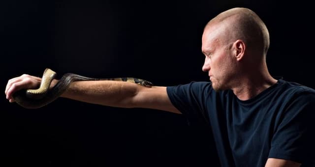 Tim Friede, The Man Trying To Create A Universal Antivenom - Featured Image