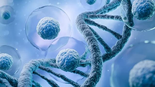 Experimental gene therapy targets eye neurons to restore vision - Featured Image