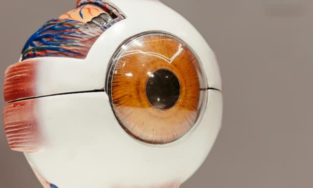 Gel that costs pennies has restored sight to 7 out of 8 patients - Earth.com - Featured Image