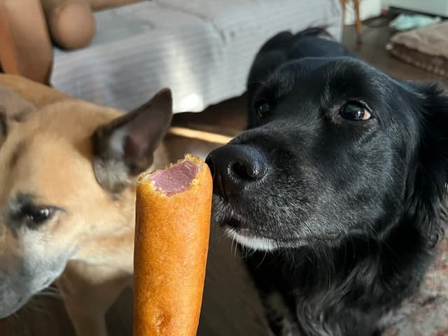 You Had No Taste Before AI - Featured Image