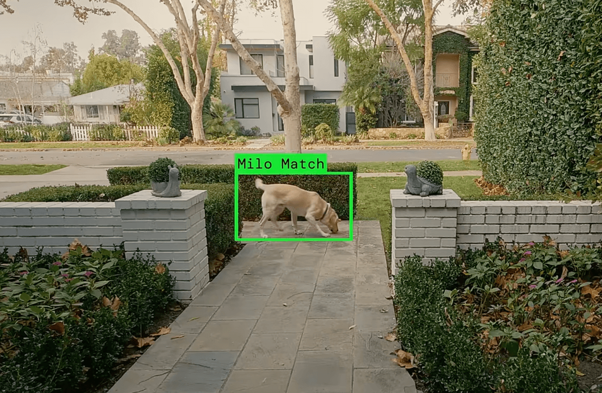 Leaked Email Suggests Ring Plans to Expand ‘Search Party’ Surveillance Beyond Dogs - Featured Image