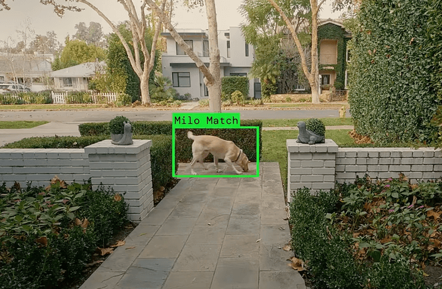 Leaked Email Suggests Ring Plans to Expand ‘Search Party’ Surveillance Beyond Dogs - Featured Image