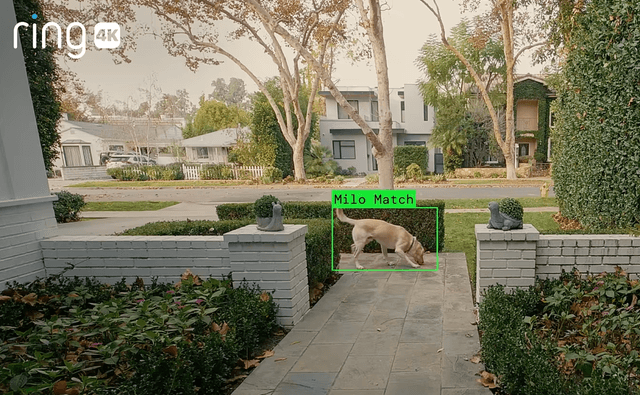 With Ring, American Consumers Built a Surveillance Dragnet - Featured Image