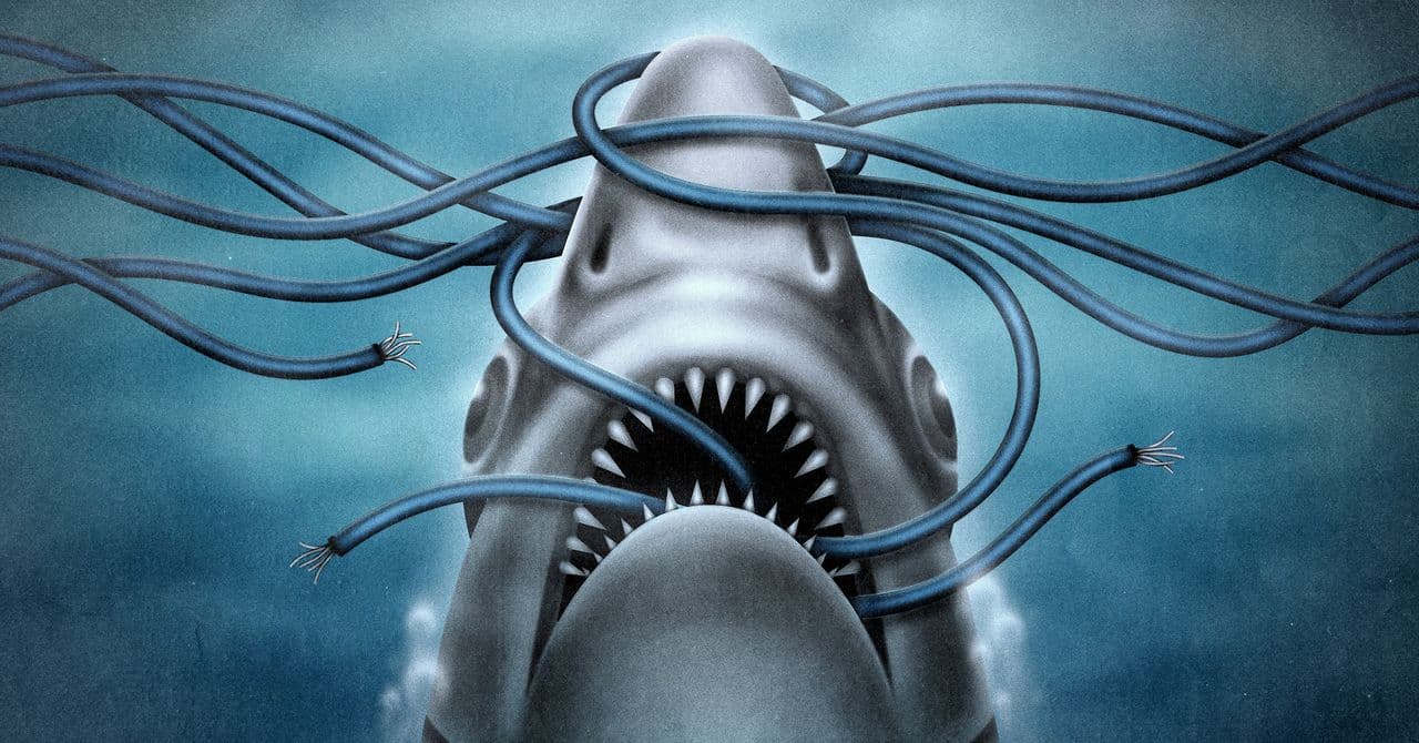 Say Goodbye to the Undersea Cable That Made the Global Internet Possible | WIRED - Featured Image