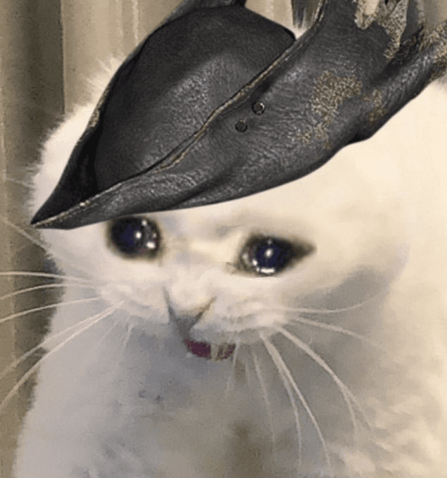 Fans Disappointed by No Duskbloods Update at Nintendo Direct
