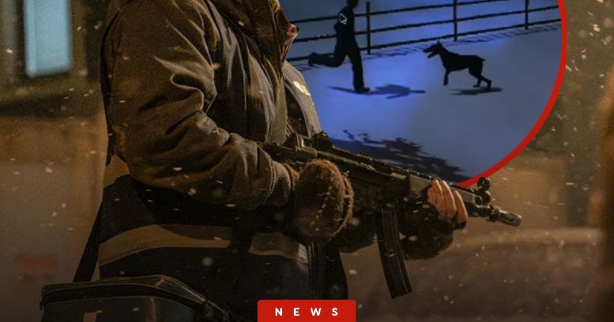 Fan-made PS1-style game adapts Zach Cregger's Resident Evil film · Digg