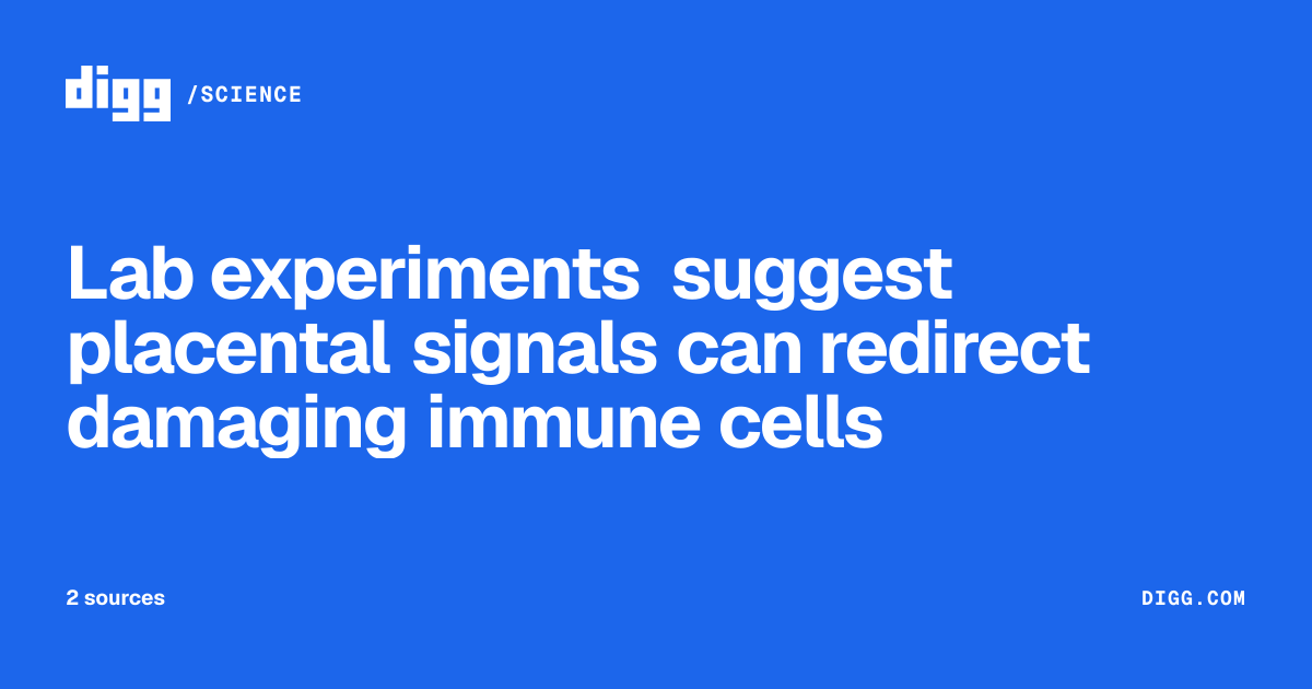 Lab experiments suggest placental signals can redirect damaging immune ...