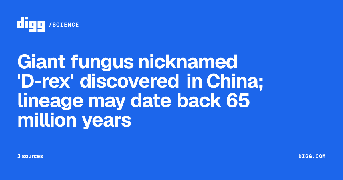 Giant fungus nicknamed 'D-rex' discovered in China; lineage may date ...
