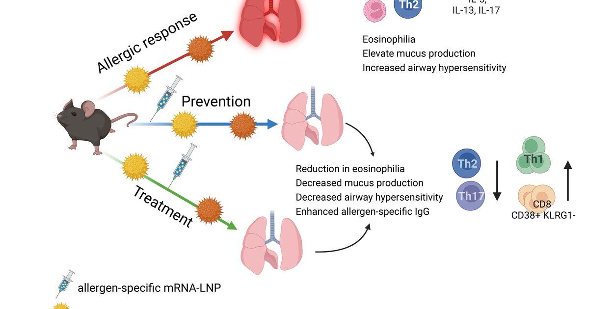 mRNA-based vaccine approach shows promise retraining immune system ...