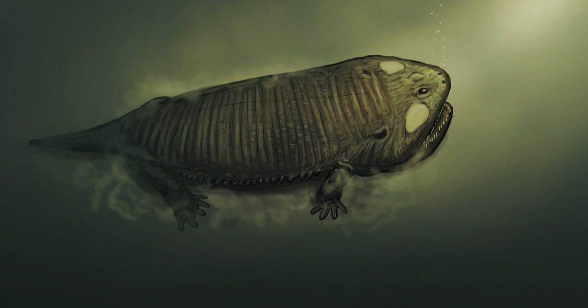 Fossils suggest amphibians lived in the sea 237 million years ago · Digg