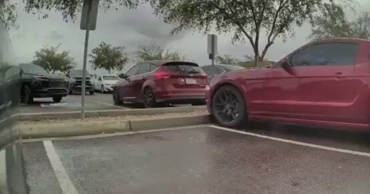 Tesla owner reportedly spots vehicle flipped onto its side beside her ...